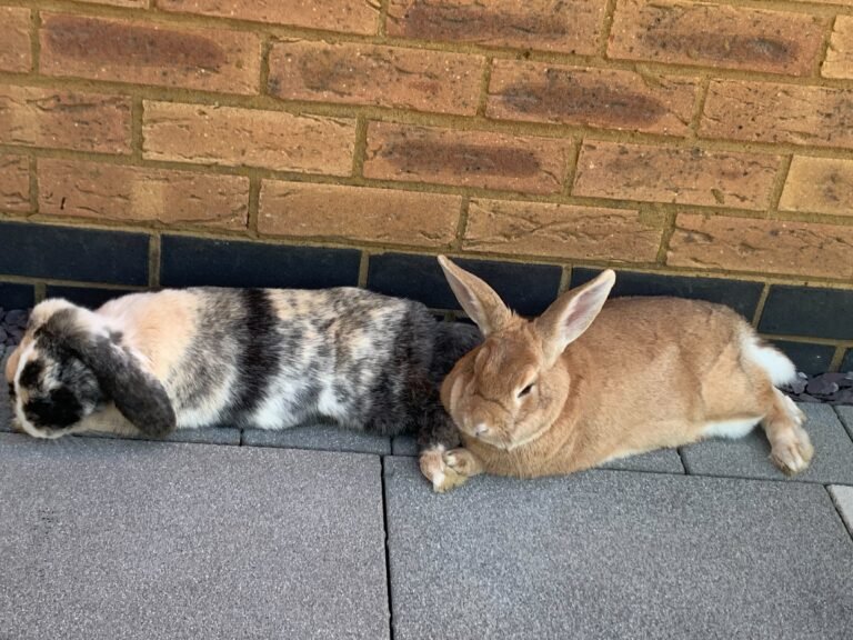 Chloe and Sandy