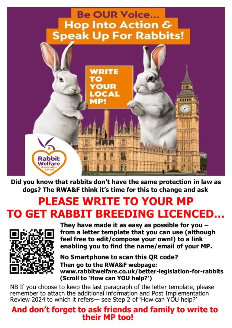 📢 Be OUR Voice: Demand Better Legislation for Rabbits – Write to Your MP Today!
